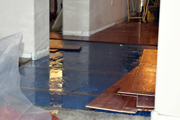 Professional Sewage Cleanup technician working in Bonham, TX